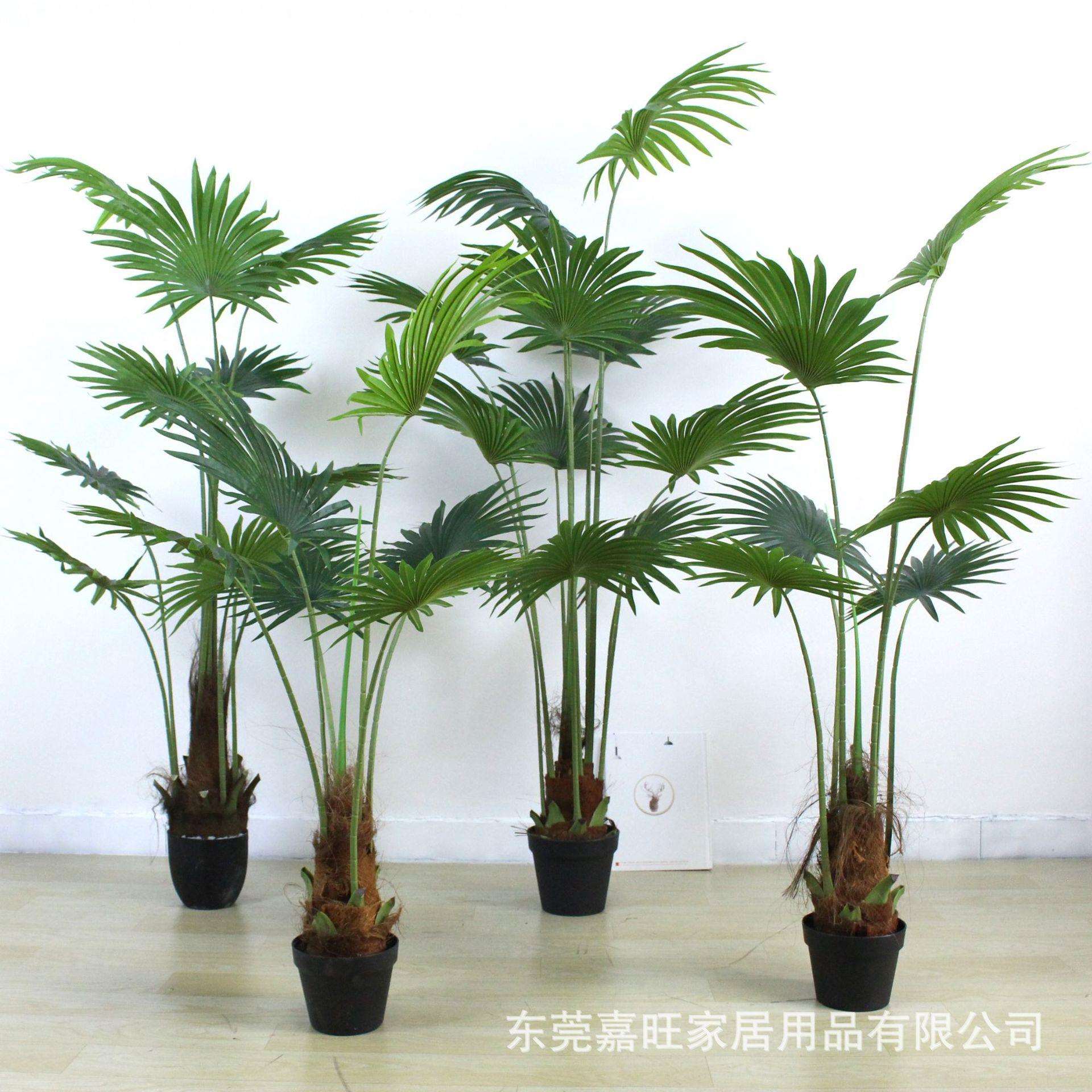 北欧风仿真植物盆栽蒲葵假绿植圆扇葵盆景室内外落地装饰唐棕葵