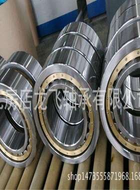 单列圆柱滚子轴承210RJ91 210RF91 210RT91 210 340 95.3