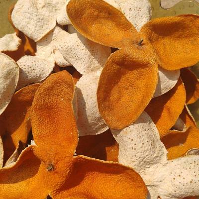 2025年广西浦北陈皮新鲜 青皮 二红皮500g 大红柑又称茶枝柑皮