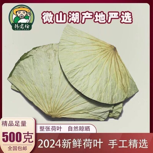 微山湖大张干荷叶500克 荷叶茶荷叶鸡料理食材 四季通用