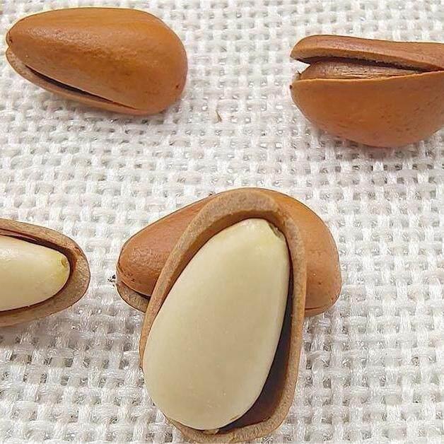 新鲜新货东北开口松子手剥特大颗粒原味袋装净重休闲零食包邮