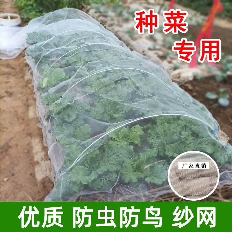 种菜防虫网菜地专用防鸟纱网樱桃防鸟罩大棚蔬菜农用防鸟用网加密
