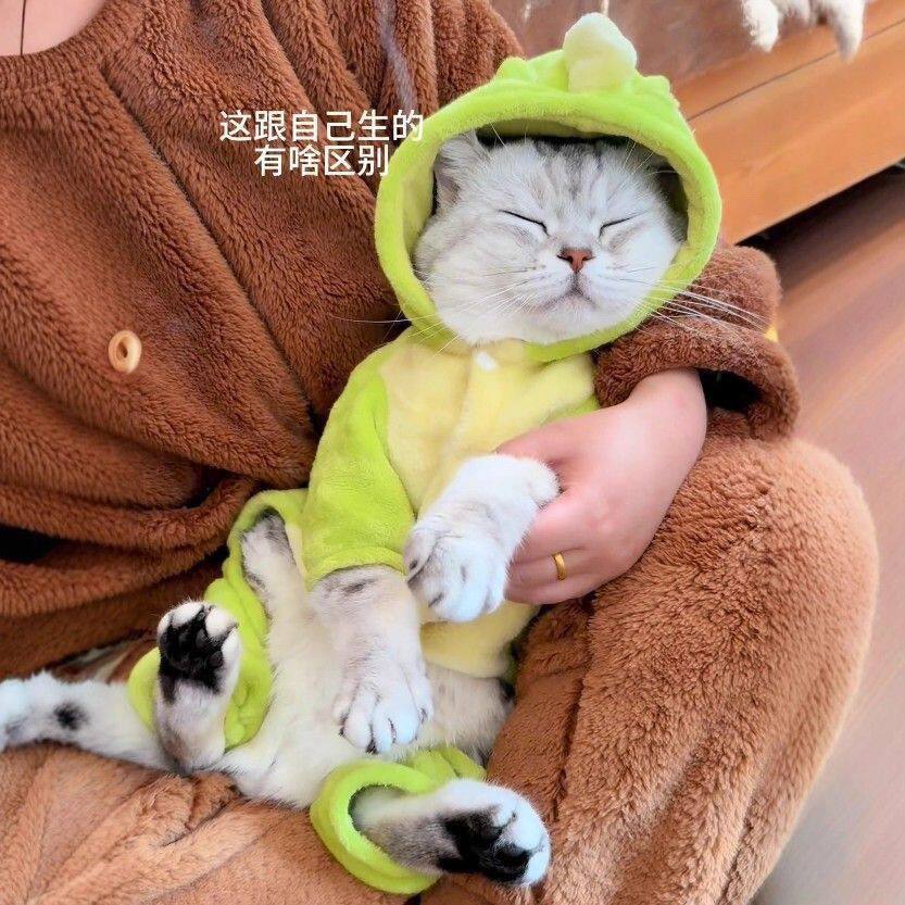 可爱搞笑猫咪衣服小狗狗秋冬装泰迪比熊柯基法斗幼犬卫衣宠物用品