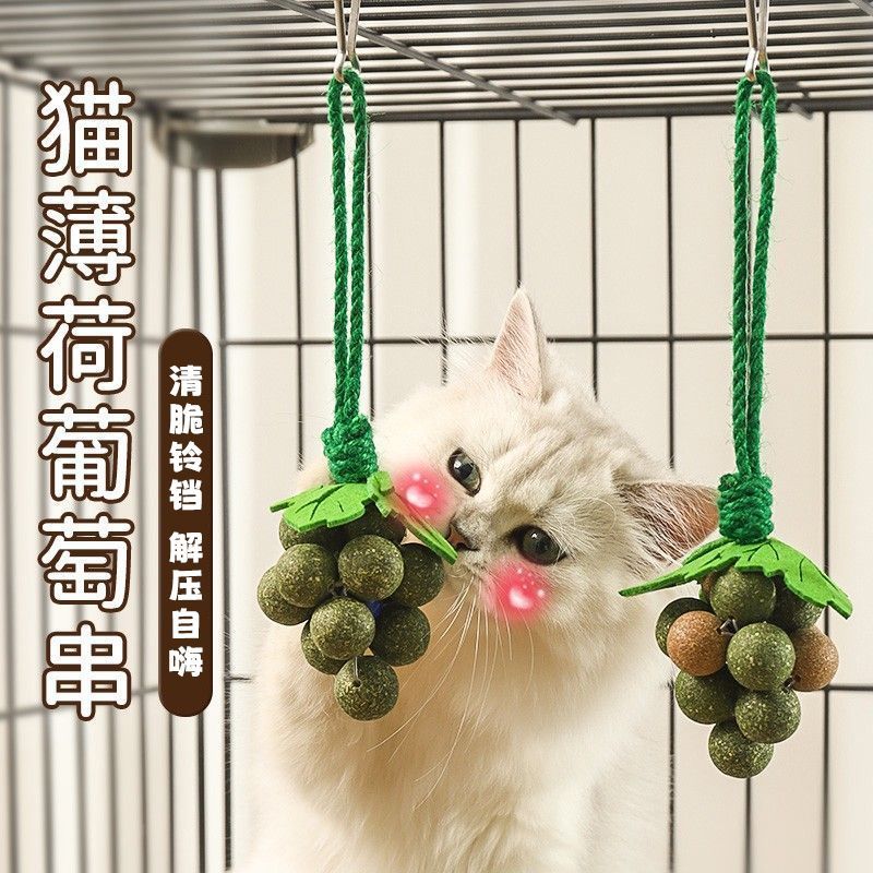 舔舔乐猫薄荷葡萄串猫玩具自嗨虫瘿果宠物保健零食薄荷猫球玩具