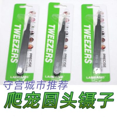 守宫城市爬宠虫圆头镊子豹纹睫角肥尾尾守宫蜕皮岩板喂食蜕皮夹子