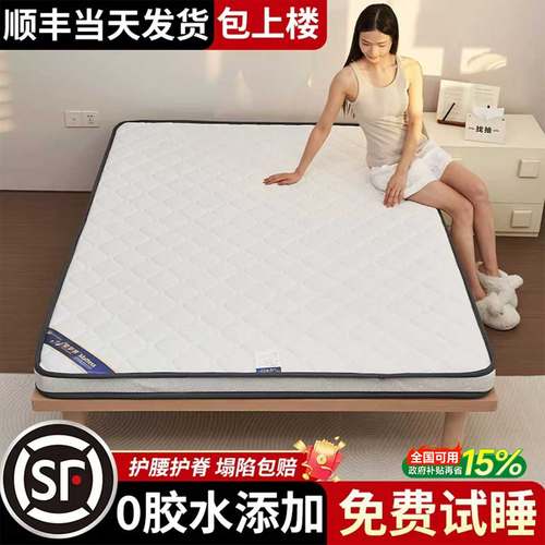 环保椰棕可定制榻榻米棕垫