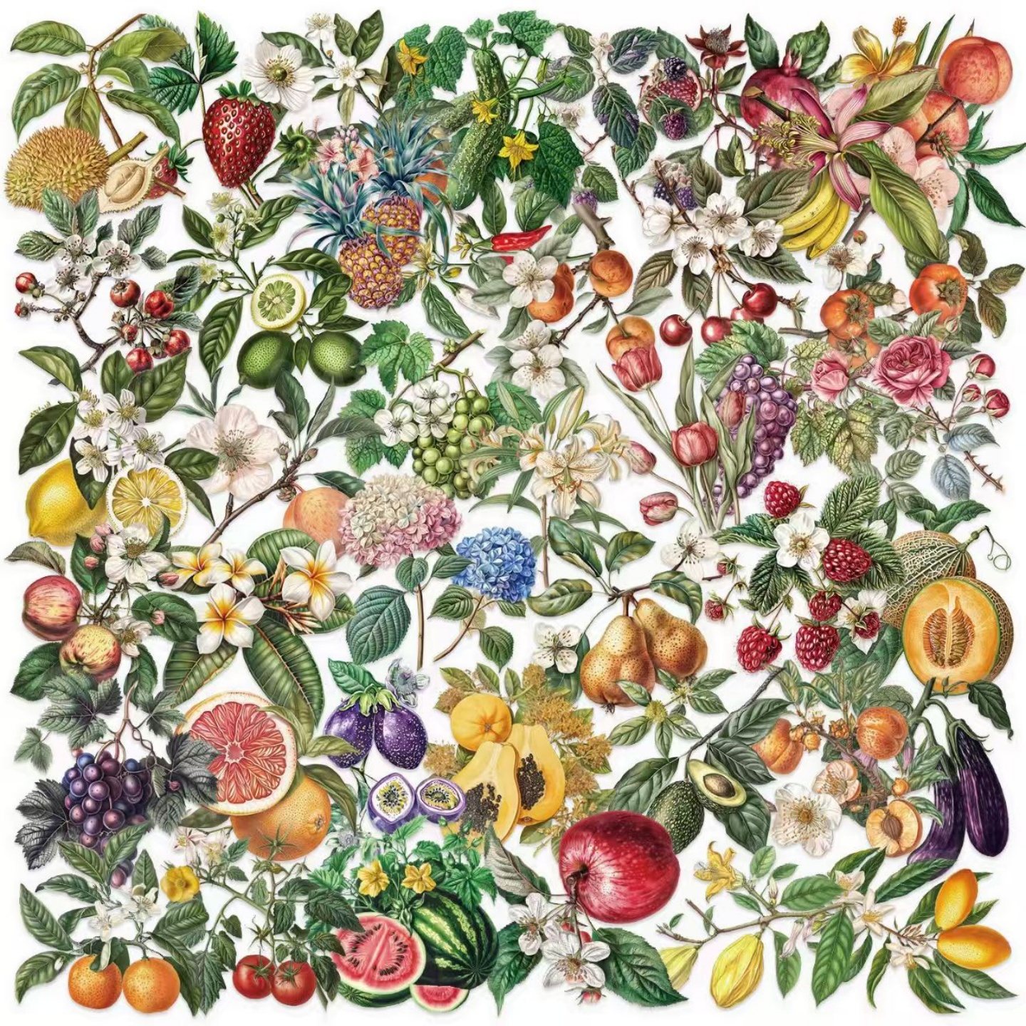 卡通防水透明PET贴纸50张水果蔬