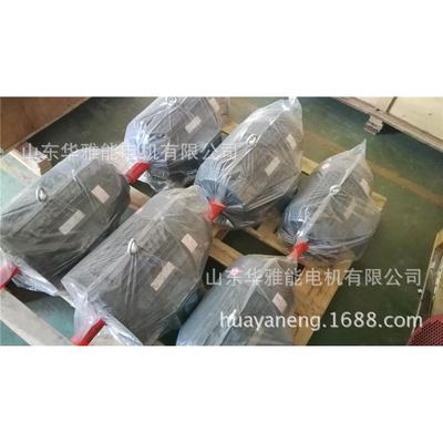 HM2EJ-355M2-6-185电机超低高温Y2EJ电机引出线定子端的顶部引出