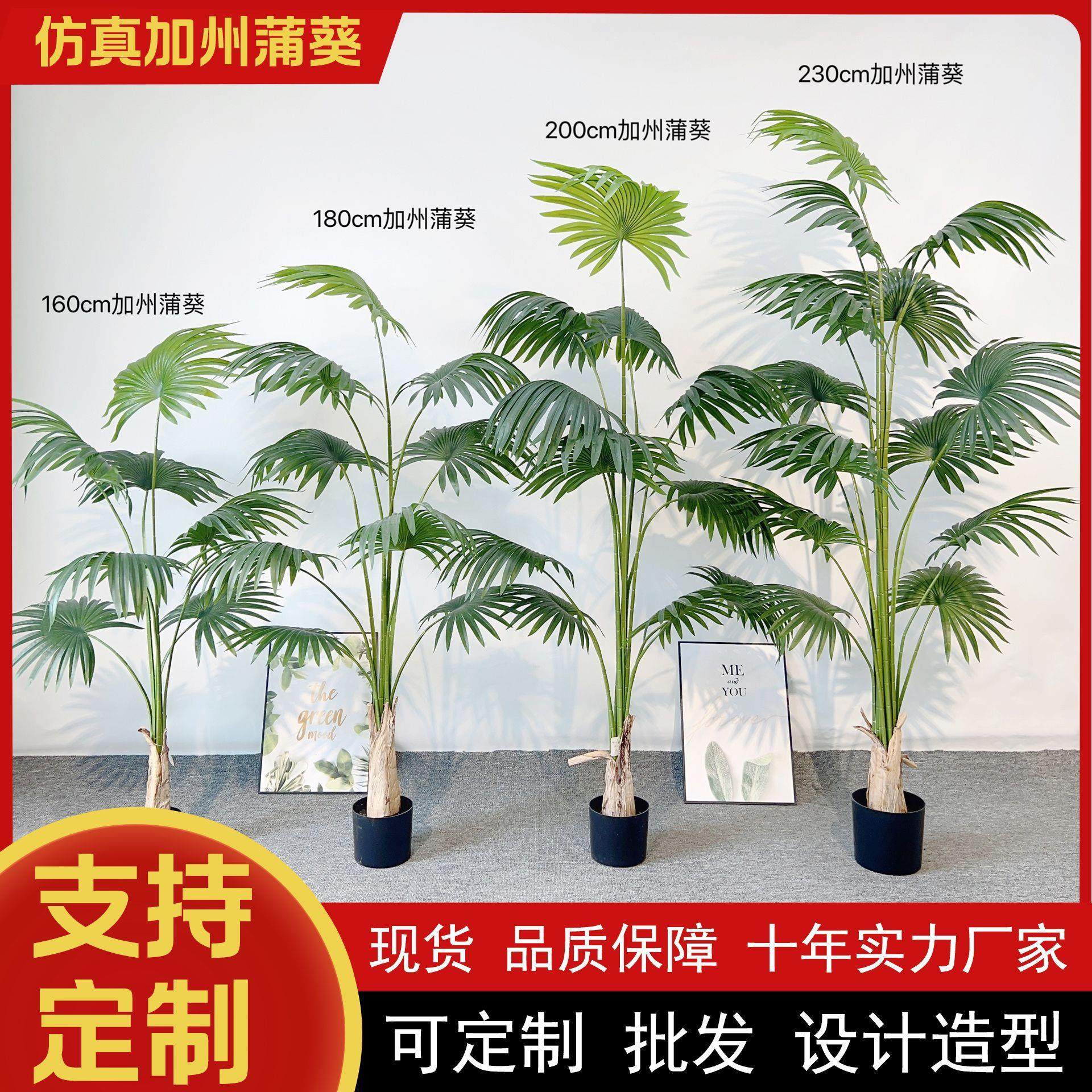 仿真蒲葵盆栽大型植物落地盆景室内装饰扇葵仿真加州蒲葵摆件