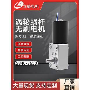 5840 3650直流无刷减速电机低速大扭力蜗轮蜗杆调速微型电机马达