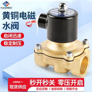 常闭电磁阀进水管道排水两通高压电子控制电水阀开关220v24v线圈
