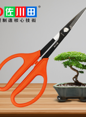 叶芽剪盆景专用剪刀花艺插花园艺修剪疏果剪花椒采摘嫩枝造型工具