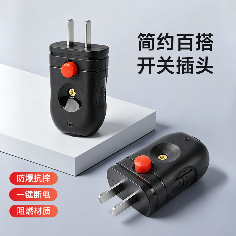 二脚电源带开关插头家用图片