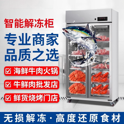 解冻柜商用化冻机低温高湿海鲜冻肉牛羊鸡鸭冻货冷藏保鲜柜
