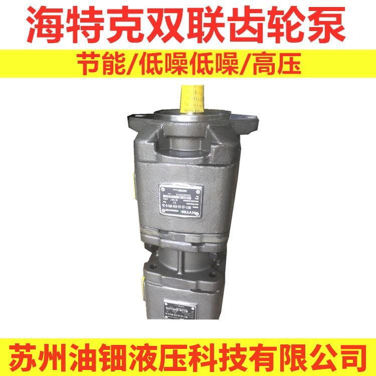 美国sunny内啮合齿轮泵 系列HG21-125-50-VPC压机 伺服电机
