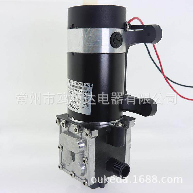 24V 36V 48V 300/350W 400W 450W 1.2/1.5/1.6/1.8mpa水泵 隔膜泵