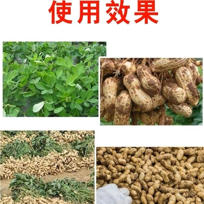 极速(2套起)施维舒防治花生根腐病白T绢病组合叶面肥