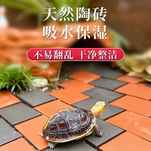 黄缘龟造景砖专用小青砖材料鱼缸装饰陶土砖铺地红砖安缘雨林庭院