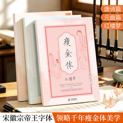 瘦金体硬笔书法新手入门练字本