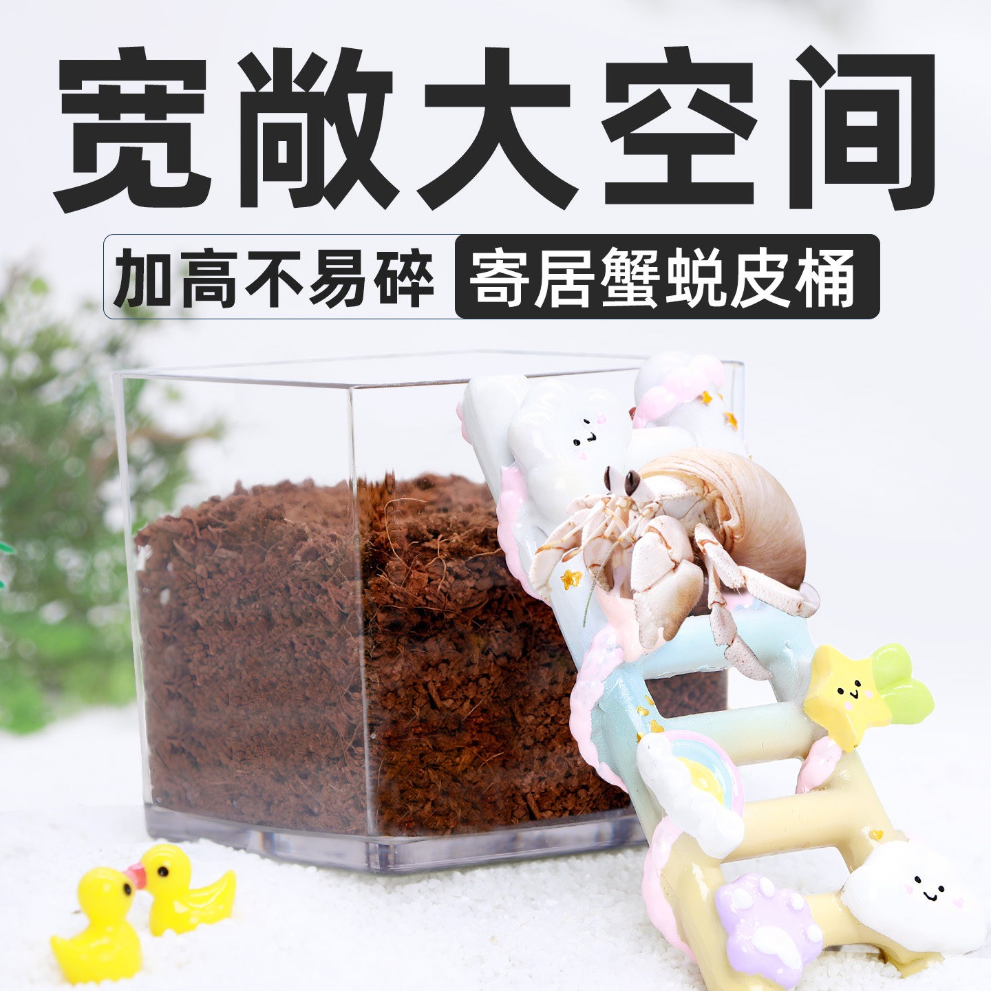 寄居蟹蜕皮桶套装～隔离盒图片