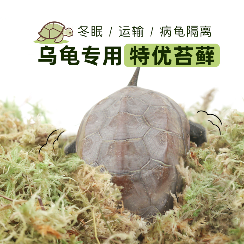 陌派乌龟专用特优高保湿苔藓