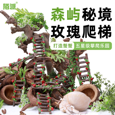 寄居蟹森系攀爬梯子～多风格玫瑰树脂爬梯百搭造景水盆蜕皮桶搭档