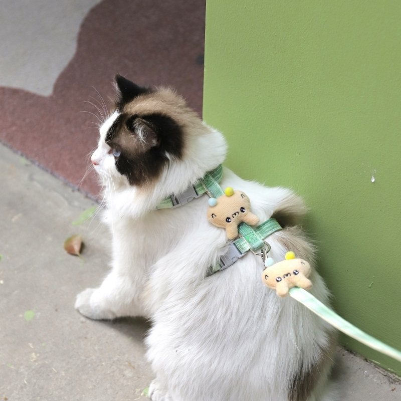 极速小猫带牵引绳猫咪防挣脱外出专用F遛猫绳溜猫链子宠物胸背带,宠物/宠物食品及用品,狗牵引绳,淘宝优惠券,粉丝福利购,淘宝优惠卷