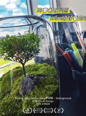 极速桌面微景观摆件办公室电脑桌工位解压装饰品送V朋友情绪稳定