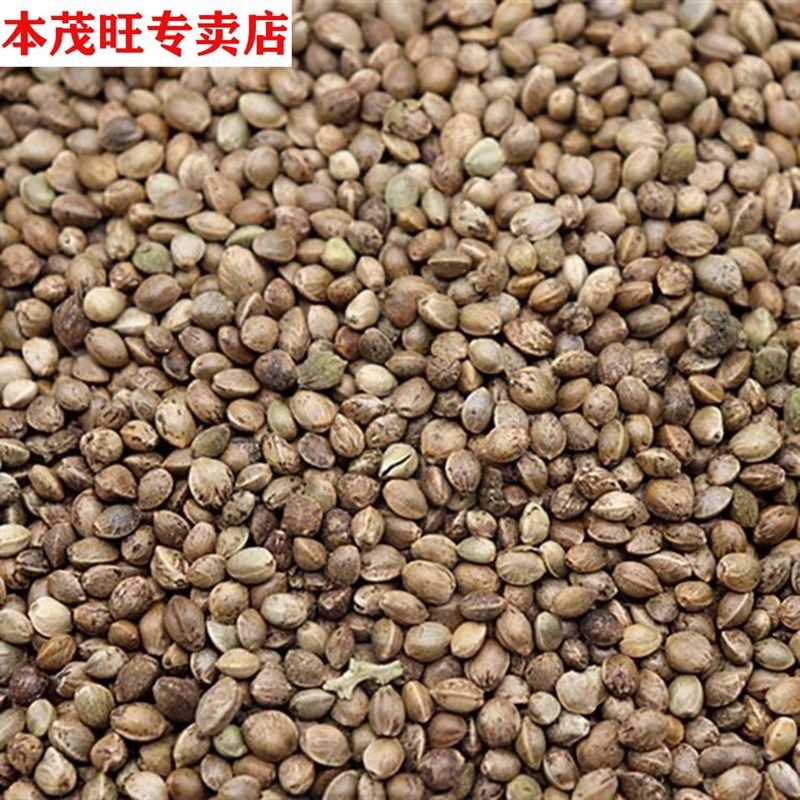 极速小颗粒麻子麻籽火o麻仁 鹦鹉鸟粮鸟食鸟饲料仓鼠粮松鼠粮500g,宠物/宠物食品及用品,鸟食,淘宝优惠券,粉丝福利购,淘宝优惠卷