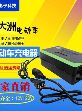极速新大洲电动车智能充电器48V12Ah32ADh60V20Ah72V84V96原装专