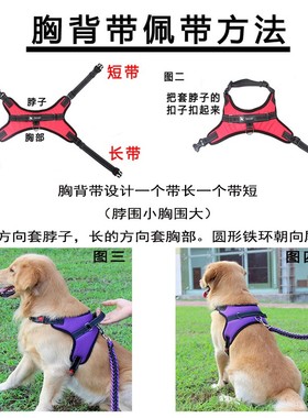 极速Dogb leash harness collar dog chain walk dog rope durabl