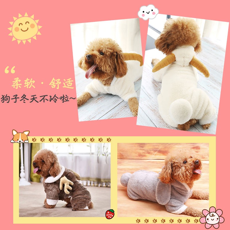 极速抖音网红狗狗衣服秋冬装泰迪小型幼犬猫咪P博美比熊法斗宠物