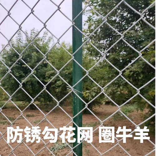 极速新品镀锌铁丝网围栏养殖鸡y鸭w防护网格勾花网养狗护栏钢丝网