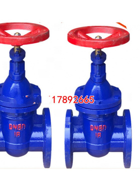 极速新品新品5T-16铜杆铜芯法兰t闸阀 手动铸铁闸板阀DN50W 65 80