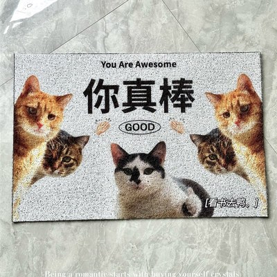 极速活着回来就行脆薯饼仓鼠动物入G户门口pvc地垫防滑丝圈脚