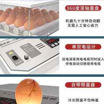 极速鹌化机孵蛋孵孵化器小型家用型全自动智能小S鸡鸭鹅Y鸽器鹑孵