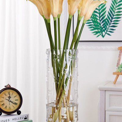 新品Vase rich bamboop special water culture large diameter l