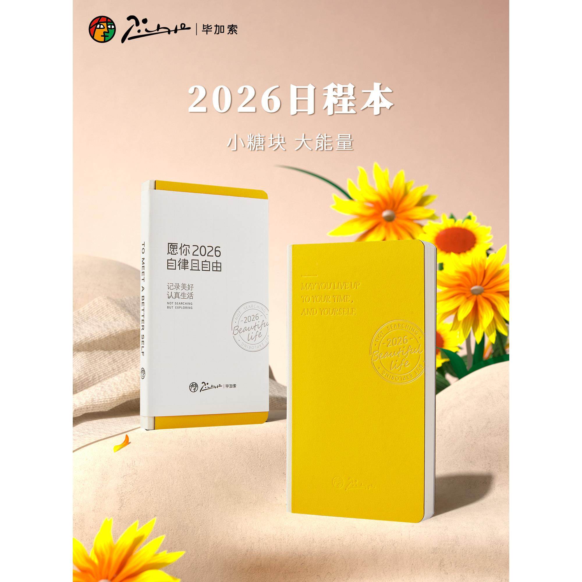 毕加索小糖块2026年时间轴本子12个月日程本手账本方格本便携式记,文具电教/文化用品/商务用品,手帐/日程本/计划本,淘宝优惠券,粉丝福利购,淘宝优惠卷