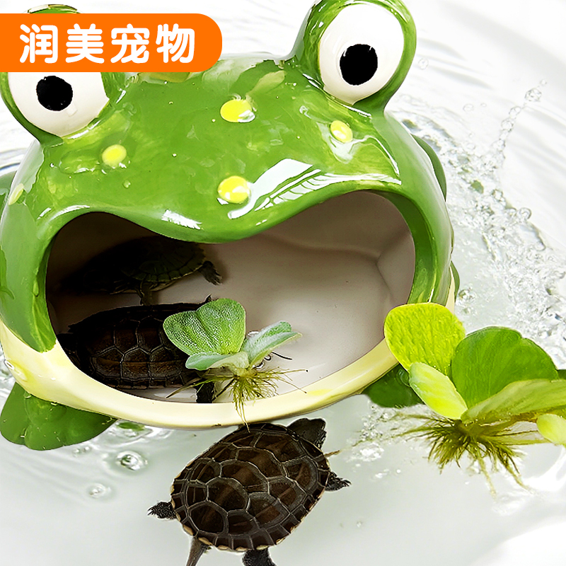 乌龟躲避屋大嘴蛙洞穴青蛙窝角蛙宠物仓鼠寄居蟹蜘蛛爬虫爬宠造景