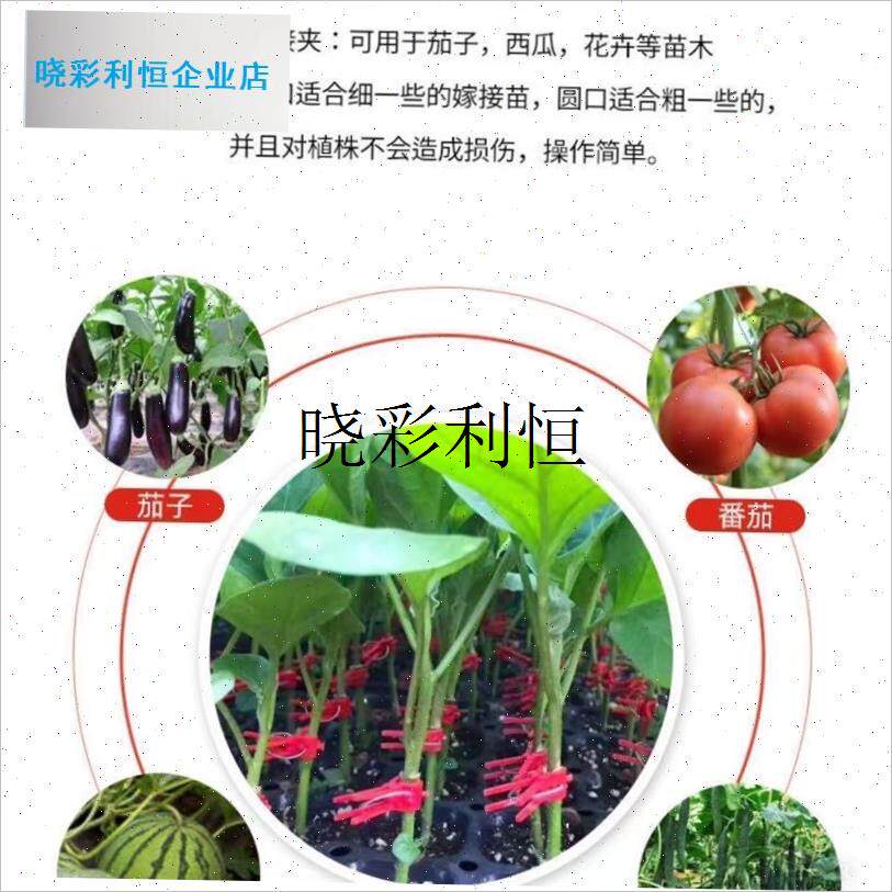 蔬菜通用嫁接夹黄瓜番茄西瓜苗蟹爪兰专用塑料瓜苗植Y物平口圆夹l