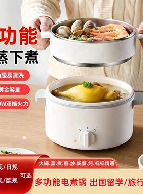110V多功能电煮锅出国留