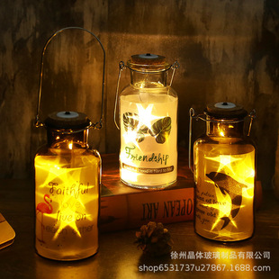 LED灯串 饰摆件瓶 DIY发光许愿瓶 创意星空瓶夜光玻璃木塞瓶装