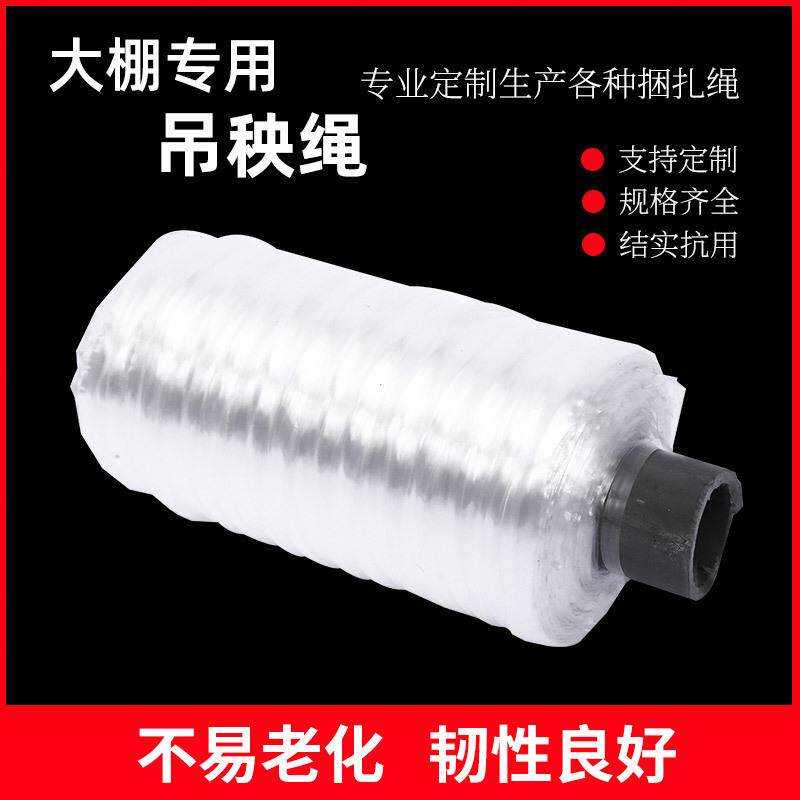 供应大棚专用吊秧绳 塑料吊蔓绳子 果树西红柿吊苗绳子辣椒