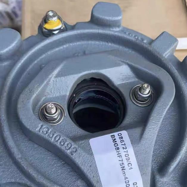 德国原装S_E_W制动器电机抱闸刹车总成 BMG2 BMG4 BMG8 BE1 BE2