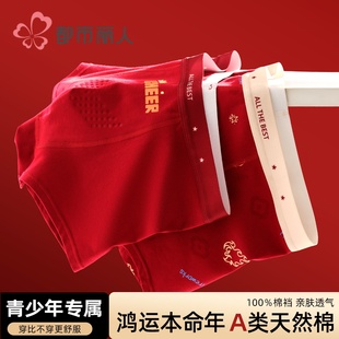 本命年红色内裤青少年男童儿童纯棉a类中大童亲肤12岁马年2026