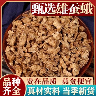 雄蚕蛾中药材500克东北正品新货雄蚕蛾晚蛾子雄蚕蛾粉泡酒水功效