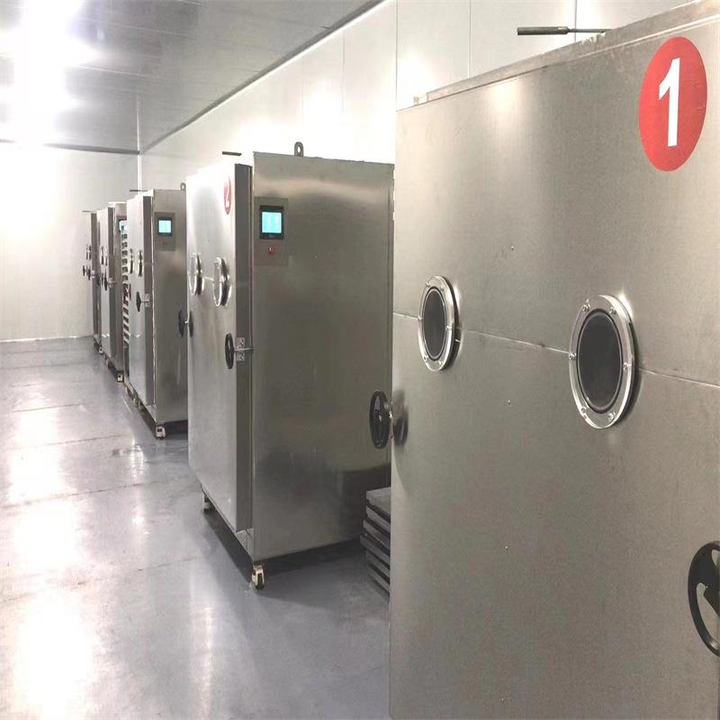 宠物零食冻干设备果蔬真空干燥机商用大型真空冻干机