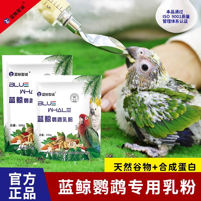 鹦鹉奶粉牡丹玄凤小太阳和尚专用手养雏鸟蓝鲸营养乳粉小幼鸟饲料