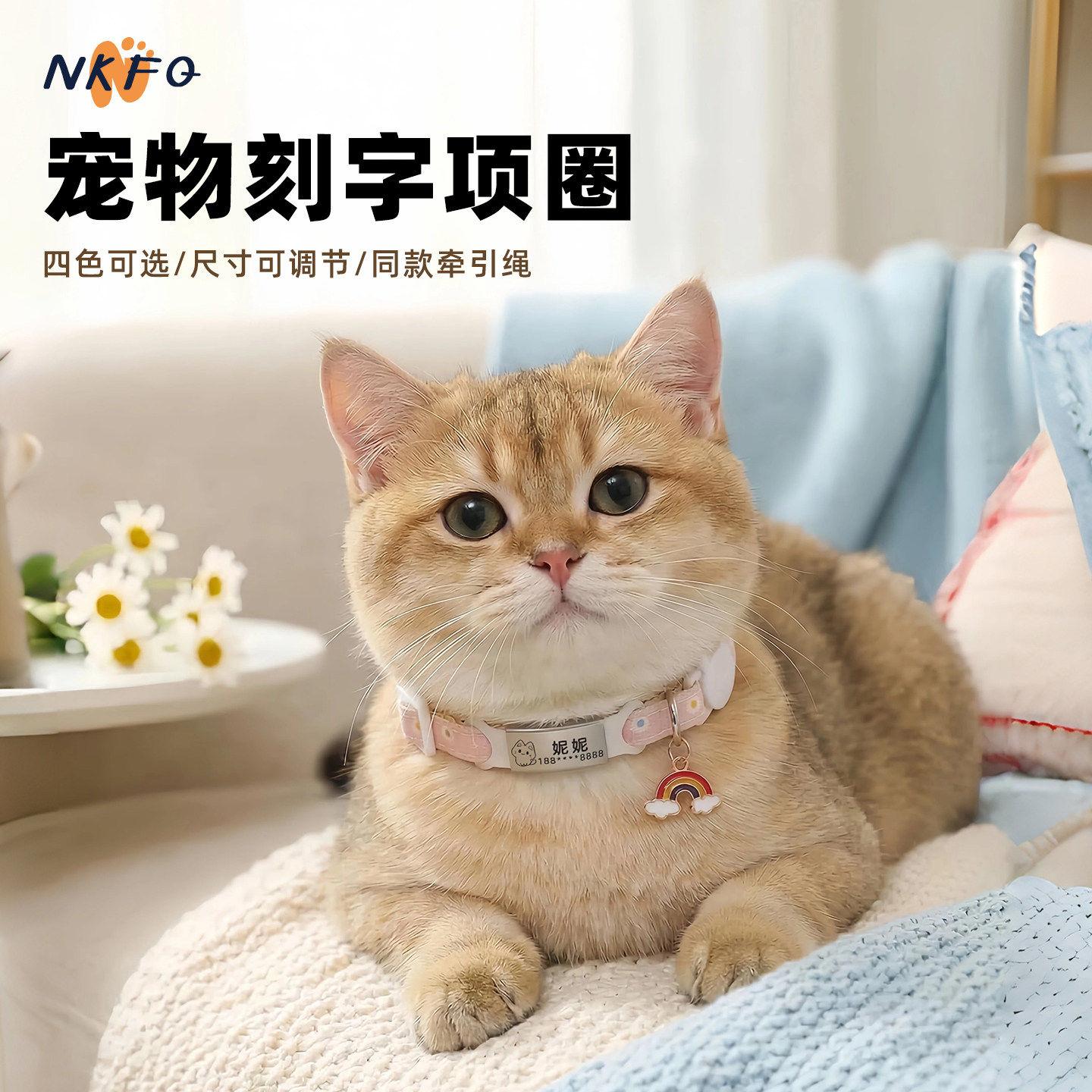 宠物猫咪项圈安全扣可调节小型犬狗牌身份牌定制刻名字可爱牵引绳