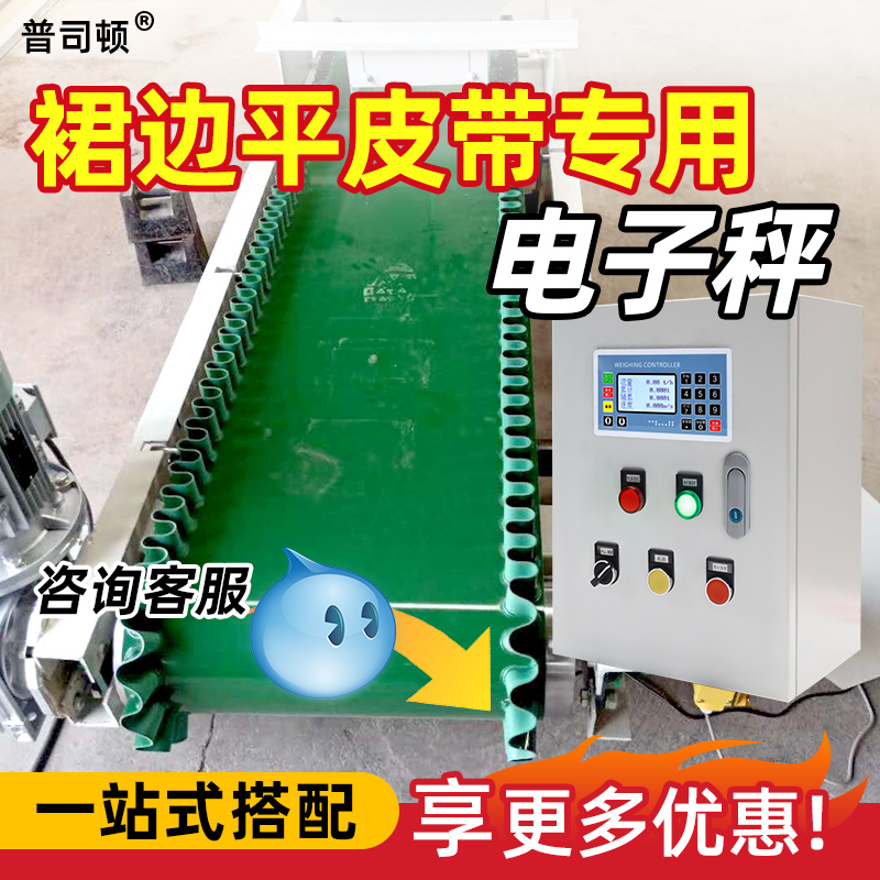 高精度皮带电子秤裙边型皮带秤输送带动态流量秤定量控制485通讯